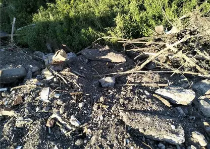 Мошенничество на 1,4 млн рублей при вывозе мусора выявлено в Дивногорске