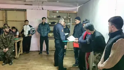 Шестерых мигрантов выдворят из России после рейда на красноярской лесопилке