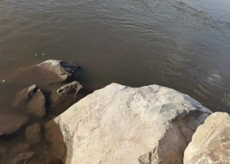 В Ачинске в реке Чулым утонул 12-летний мальчик