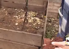 Медведь загнал жительницу Приангарья в дом и унёс собаку
