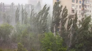 Сильные дожди пройдут 2 июля на юге Красноярского края
