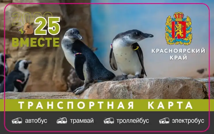 Фото: парк «Роев ручей» Красноярск