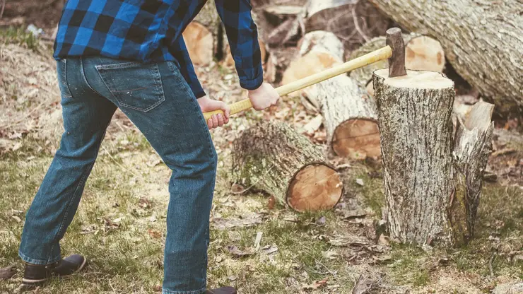 Суд взыскал более 34 млн рублей с контрабандиста леса в Иркутской области