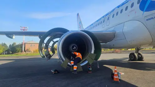 Самолет «Уральских авиалиний» вернулся в иркутский аэропорт из-за попадания птицы в двигатель