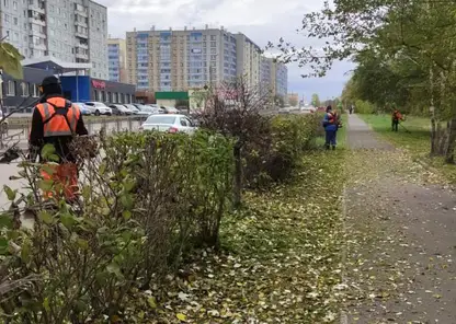 В Красноярске будут косить траву до появления снежного покрова