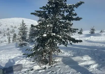 Школьница насмерть разбилась в Ергаках во время катания на лыжах