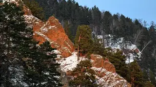 Красноярский край занял 22-е место в общероссийском рейтинге регионов Красноярский край занял 22-е место в общероссийском рейтинге регионов