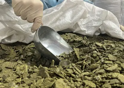 Из Красноярского края в Китай с начала марта отправили еще две тысячи тонн рапсового жмыха