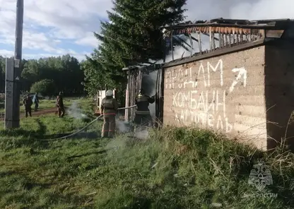 18 пожаров было потушено за субботу в Красноярском крае