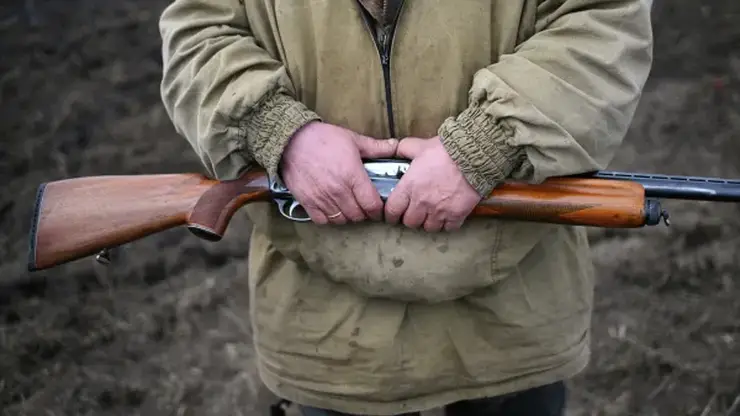 Медвежонка пришлось застрелить у АЗС в Красноярском крае