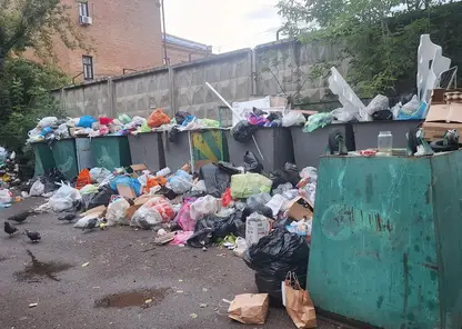 Регоператорам помогут обновить парк мусоровозов в Красноярском крае