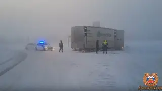 Полицейские спасли из снежного плена фуру с коровами, застрявшую на трассе в Красноярском крае Полицейские спасли из снежного плена фуру с коровами, застрявшую на трассе в Красноярском крае