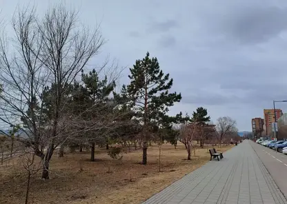 До +15 потеплеет в Красноярске в воскресенье, 5 апреля