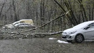 Красноярск готовится к шквалистому ветру 22 мая Красноярск готовится к шквалистому ветру 22 мая