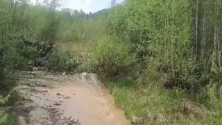 Золотодобывающую компанию оштрафовали в Красноярском крае за загрязнение реки Золотодобывающую компанию оштрафовали в Красноярском крае за загрязнение реки