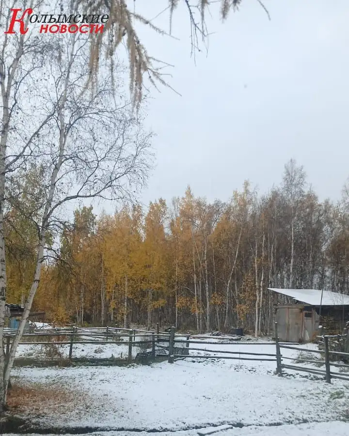 Фото: Колымские новости