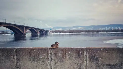 В Красноярск придет резкое похолодание в пятницу, 20 февраля