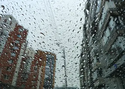 В Красноярске дождик задержится еще на сутки