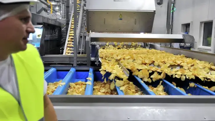 Сибирские производители нарастили экспорт картофельных чипсов на 22%