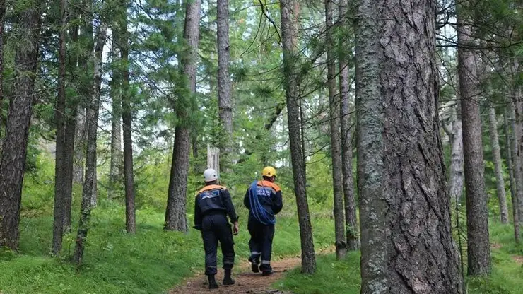 В лесу Емельяновского района заблудились две женщины и 5-летний ребёнок