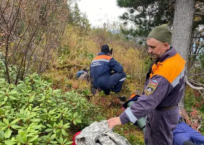 Рамзан Кадыров взял на контроль поиски пропавшего в парке «Ергаки» туриста