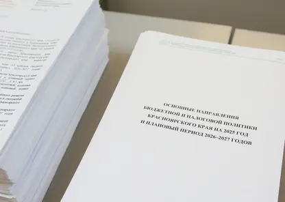 Законодательное Собрание края получило годовой отчёт об исполнении бюджета