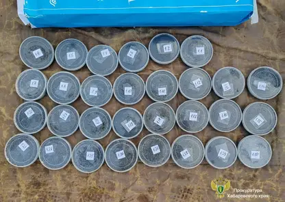 В Хабаровске предстанут перед судом участники ОПГ, обвиняемые в незаконном обороте более 3 тонн черной икры