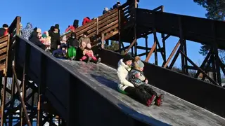 Главный парк Омска намерены реорганизовать и сделать акционерным обществом