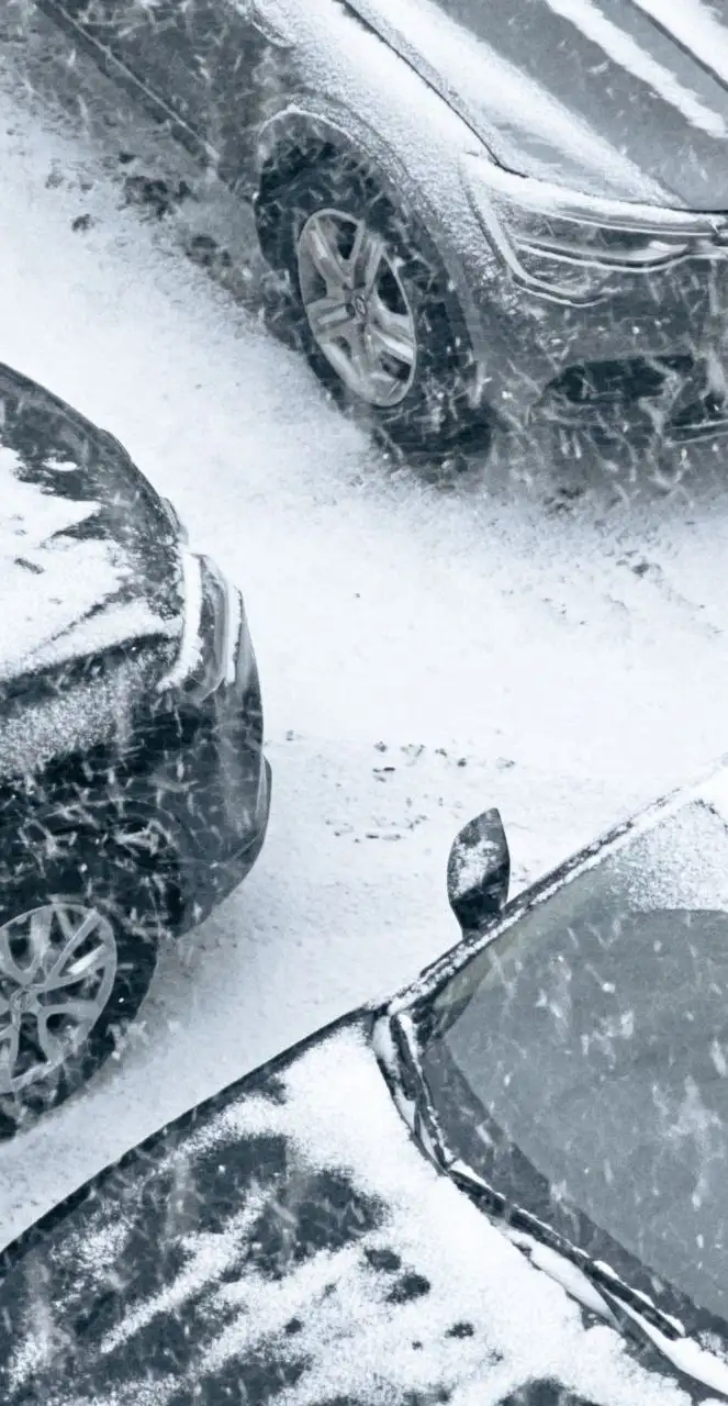 Фото: мэрия Красноярска