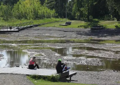 В Красноярске на острове Татышев высохли водоёмы