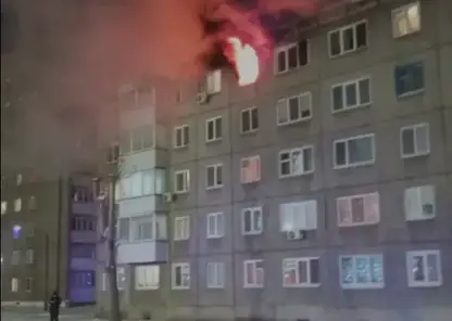 Собака спасла хозяев во время пожара в Ачинске