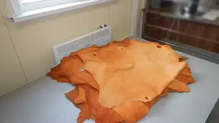 Незаконную партию овечьих шкур задержали на таможне в Алтае Незаконную партию овечьих шкур задержали на таможне в Алтае