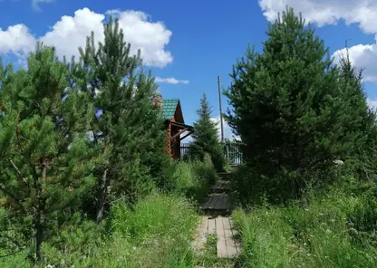 Жители Красноярска могут принять участие в конкурсе фотопейзажей