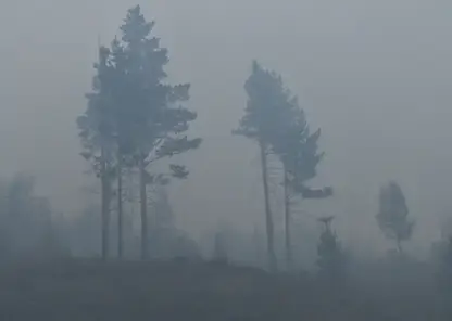 Режим чрезвычайной пожарной опасности ввели в нескольких районах Забайкалья