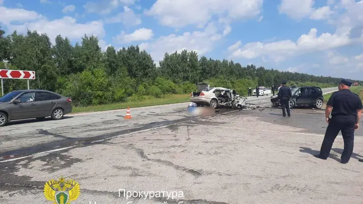 Семь человек погибли и один пострадал в ДТП в Новосибирской области