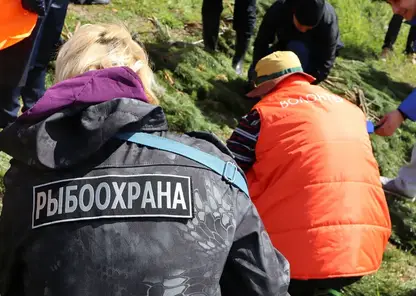 Эн+ установила искусственные нерестилища на Красноярском водохранилище