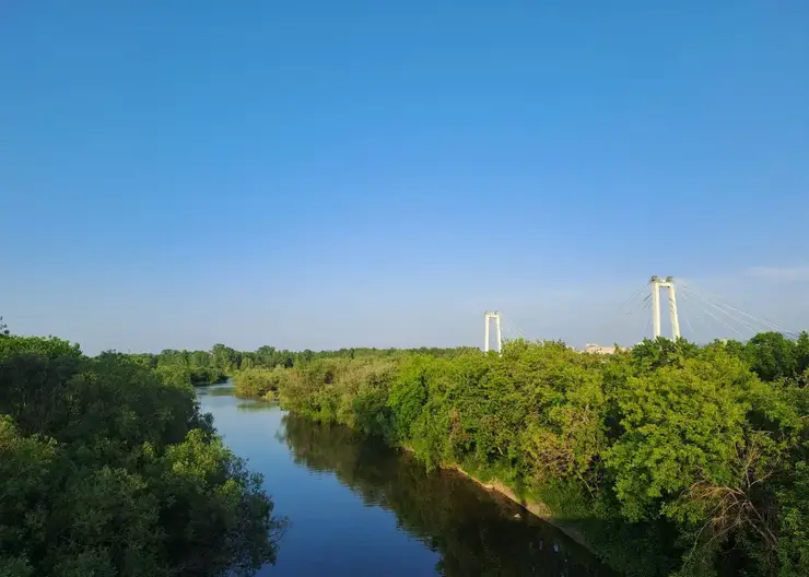 Жара до +30 вернется в Красноярск в выходные