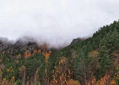 Опять +5. Холодный фронт накрыл Красноярск