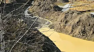 Золотодобытчиков обязали заплатить 3,9 млн рублей за загрязнение реки в Красноярском крае Золотодобытчиков обязали заплатить 3,9 млн рублей за загрязнение реки в Красноярском крае