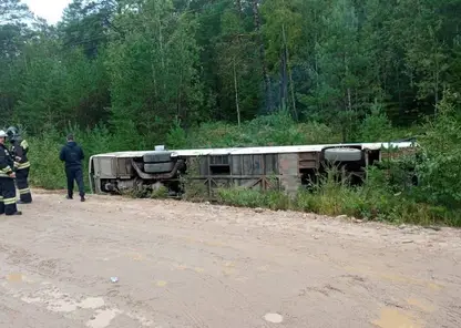 Автобус с пассажирами съехал в кювет в Абанском районе края