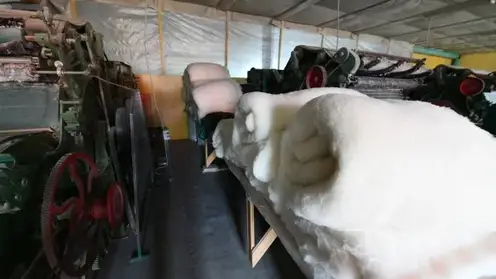 Забайкалье и Бурятия объединятся для создания кластера по переработке шерсти