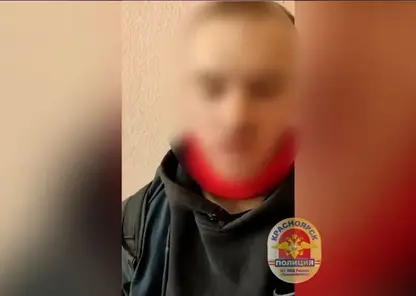 Красноярец украл телефон у школьницы, унёс чужой велосипед из подъезда и попал под уголовное дело