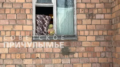 В Красноярском крае косуля выбила окно и забралась в квартиру пенсионера