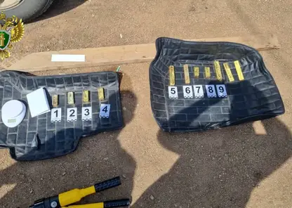 Крупная партия золота на 61 млн рублей задержана в Забайкалье на границе с Китаем