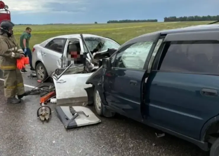 На Алтае шесть человек, включая троих детей, погибли в лобовом ДТП