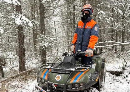 Поиски семьи Усольцевых продолжаются: спасателей по заявке полиции направили в тайгу