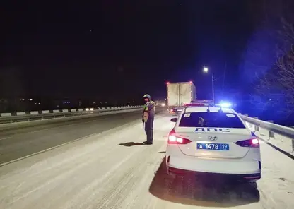 Из Красноярска в Хакасию пытались увезти 7 тонн мяса без документов — фуру задержали на ночном рейде