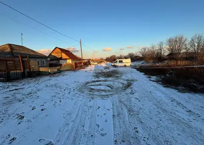 В Хакасии домашняя собака напала на 7-летнюю девочку