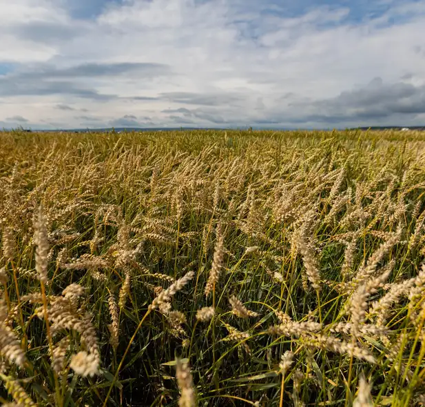 Фото: © Сбер