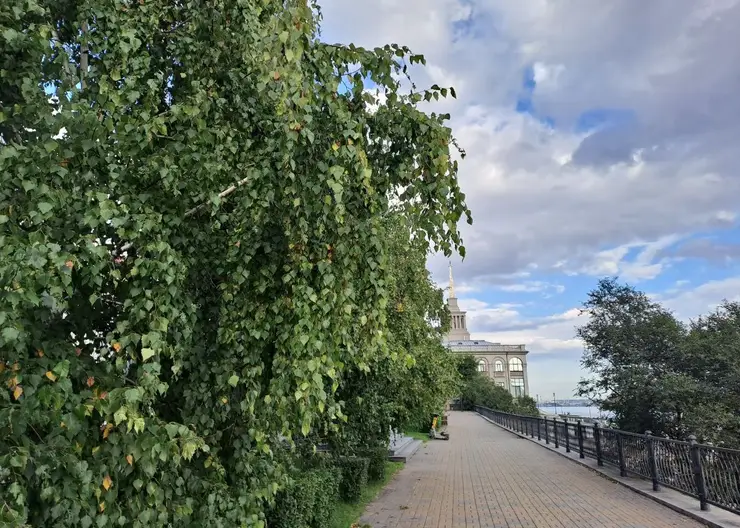 Похолодание и дождь ждут красноярцев в предстоящие выходные